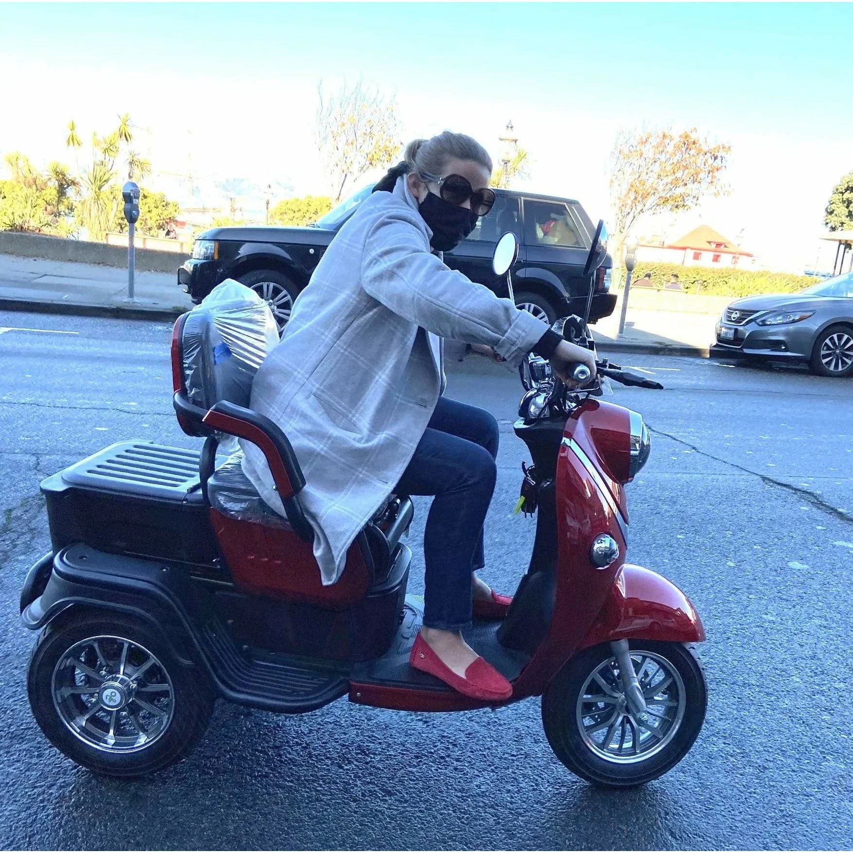 Pushpak 1000 48V/35Ah 650W Bariatric 3-Wheel Mobility Scooter - Image 6